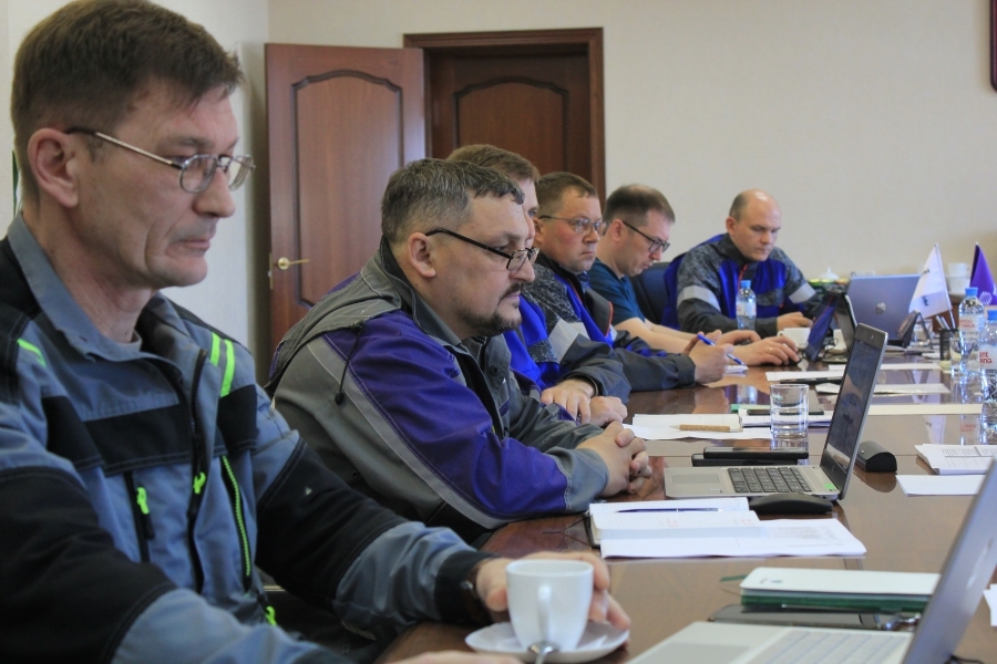 Metadynea has conducted the first cross-audit of Roshem holding